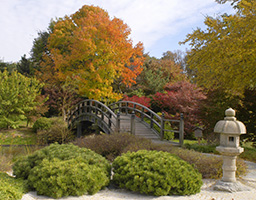 Drum Bridge